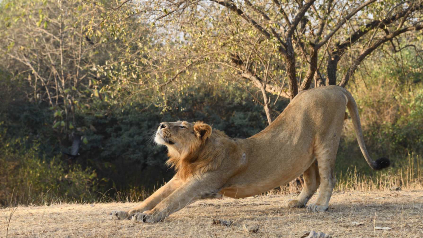 Bihar Online Booking  System